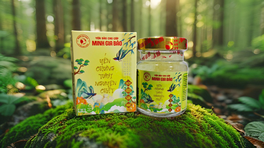 Yến Sào Là Gì? Cẩm Nang A-Z Về Yến Sào Nguyên Chất 2026